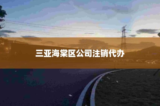 三亚海棠区公司注销代办