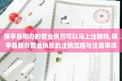 保亭县刚办的营业执照可以马上注销吗,保亭县新办营业执照的注销流程与注意事项