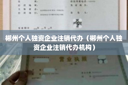 郴州个人独资企业注销代办（郴州个人独资企业注销代办机构）