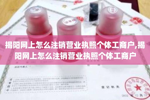 揭阳网上怎么注销营业执照个体工商户,揭阳网上怎么注销营业执照个体工商户