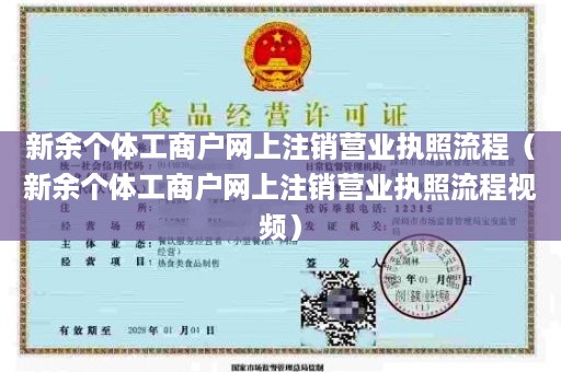 新余个体工商户网上注销营业执照流程（新余个体工商户网上注销营业执照流程视频）