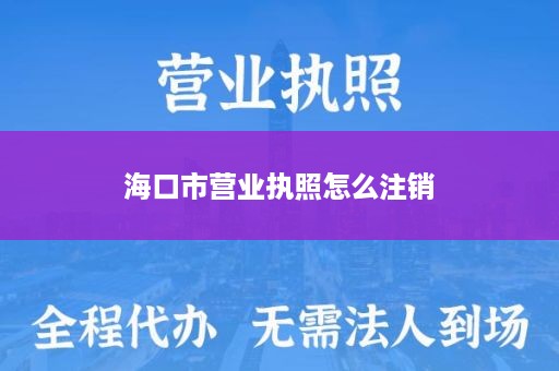 海口市营业执照怎么注销