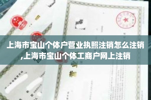 上海市宝山个体户营业执照注销怎么注销,上海市宝山个体工商户网上注销