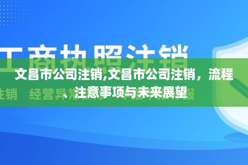 文昌市公司注销,文昌市公司注销，流程、注意事项与未来展望