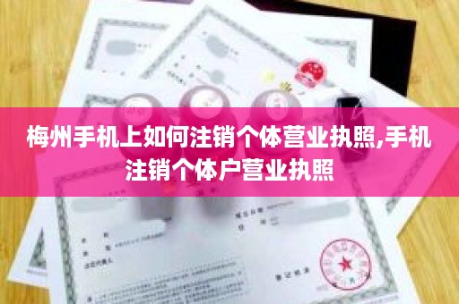 梅州手机上如何注销个体营业执照,手机注销个体户营业执照
