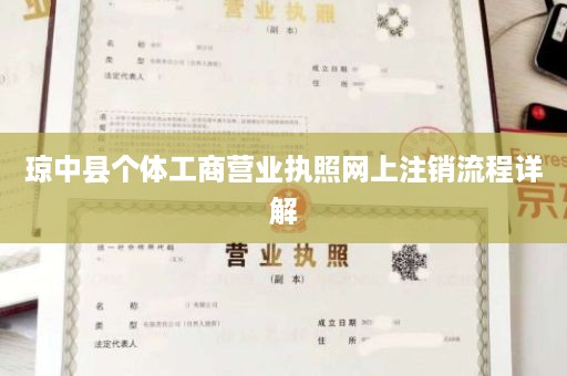 琼中县个体工商营业执照网上注销流程详解