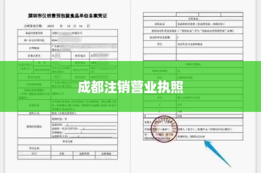 成都注销营业执照