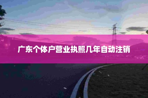 广东个体户营业执照几年自动注销