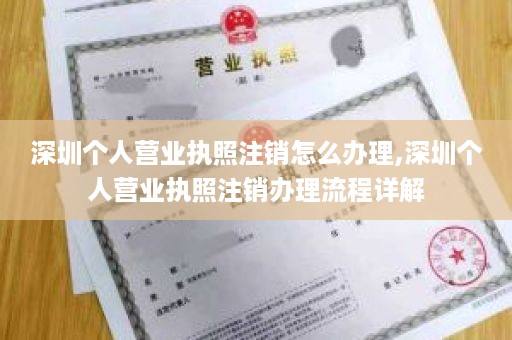 深圳个人营业执照注销怎么办理,深圳个人营业执照注销办理流程详解
