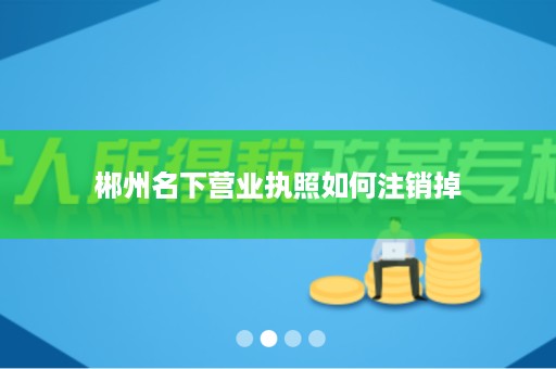 郴州名下营业执照如何注销掉