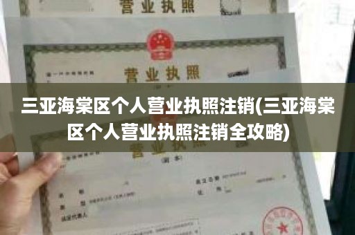 三亚海棠区个人营业执照注销(三亚海棠区个人营业执照注销全攻略)