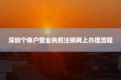 深圳个体户营业执照注销网上办理流程