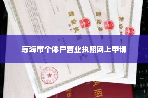 琼海市个体户营业执照网上申请