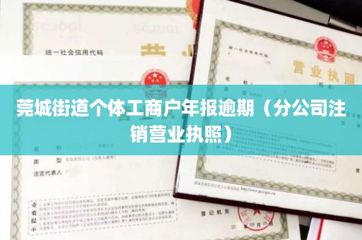 莞城街道个体工商户年报逾期（分公司注销营业执照）