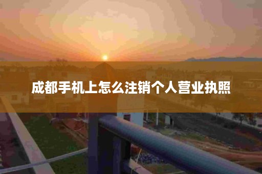 成都手机上怎么注销个人营业执照
