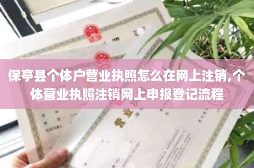 保亭县个体户营业执照怎么在网上注销,个体营业执照注销网上申报登记流程