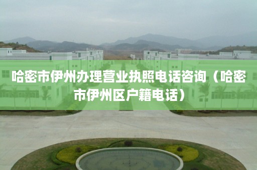 哈密市伊州办理营业执照电话咨询（哈密市伊州区户籍电话）