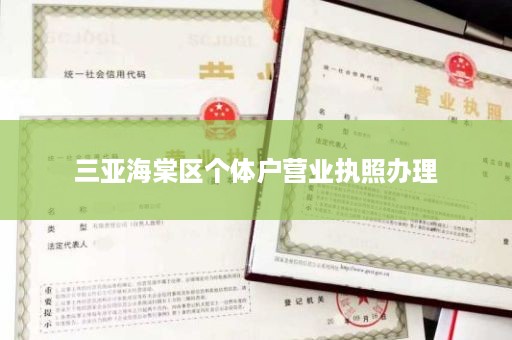 三亚海棠区个体户营业执照办理