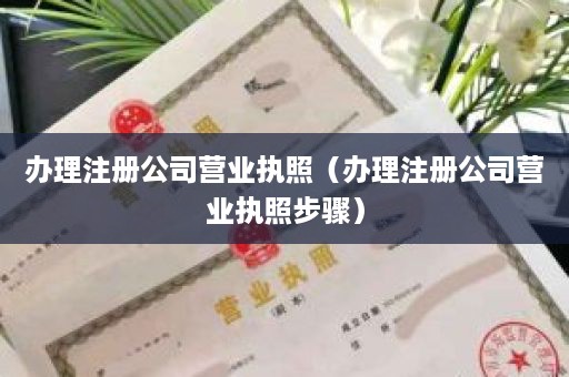 办理注册公司营业执照（办理注册公司营业执照步骤）