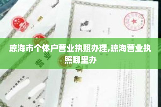 琼海市个体户营业执照办理,琼海营业执照哪里办
