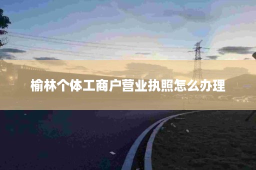 榆林个体工商户营业执照怎么办理