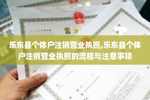 乐东县个体户注销营业执照,乐东县个体户注销营业执照的流程与注意事项