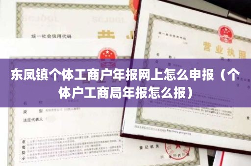东凤镇个体工商户年报网上怎么申报（个体户工商局年报怎么报）