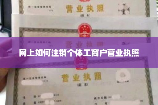 网上如何注销个体工商户营业执照