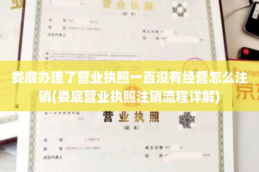 娄底办理了营业执照一直没有经营怎么注销(娄底营业执照注销流程详解)
