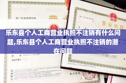 乐东县个人工商营业执照不注销有什么问题,乐东县个人工商营业执照不注销的潜在问题