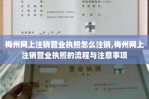 梅州网上注销营业执照怎么注销,梅州网上注销营业执照的流程与注意事项
