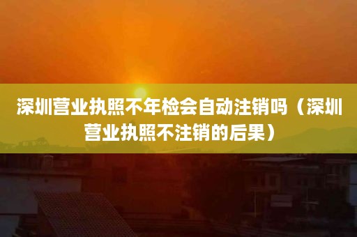 深圳营业执照不年检会自动注销吗（深圳营业执照不注销的后果）