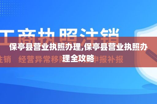 保亭县营业执照办理,保亭县营业执照办理全攻略