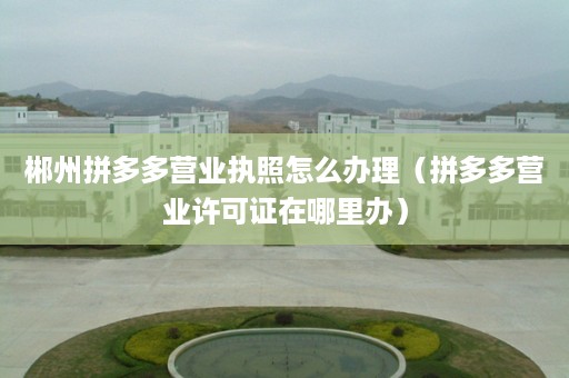郴州拼多多营业执照怎么办理（拼多多营业许可证在哪里办）