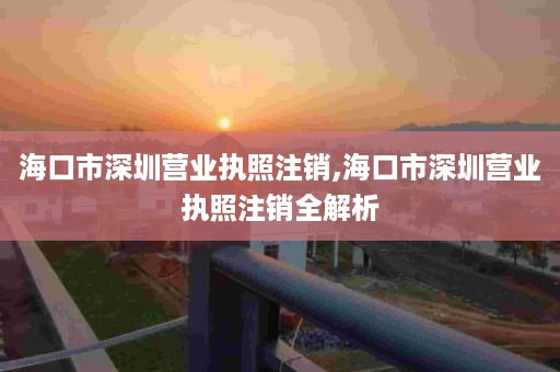 海口市深圳营业执照注销,海口市深圳营业执照注销全解析