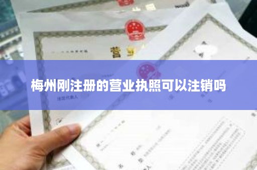 梅州刚注册的营业执照可以注销吗