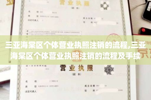 三亚海棠区个体营业执照注销的流程,三亚海棠区个体营业执照注销的流程及手续