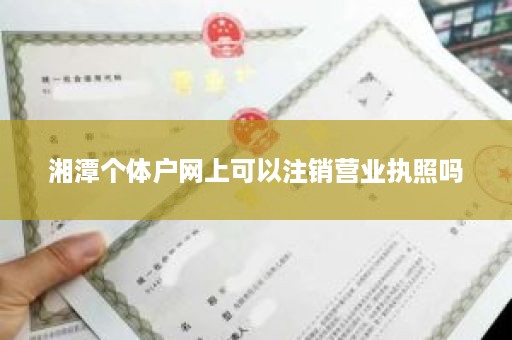 湘潭个体户网上可以注销营业执照吗