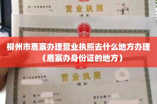 柳州市鹿寨办理营业执照去什么地方办理（鹿寨办身份证的地方）