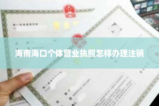 海南海口个体营业执照怎样办理注销