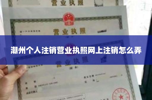 潮州个人注销营业执照网上注销怎么弄