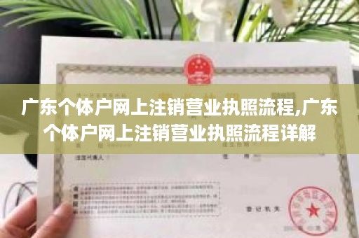 广东个体户网上注销营业执照流程,广东个体户网上注销营业执照流程详解