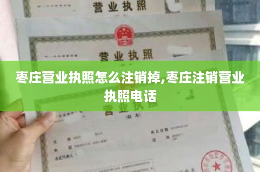 枣庄营业执照怎么注销掉,枣庄注销营业执照电话