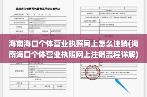 海南海口个体营业执照网上怎么注销(海南海口个体营业执照网上注销流程详解)