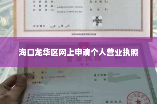 海口龙华区网上申请个人营业执照