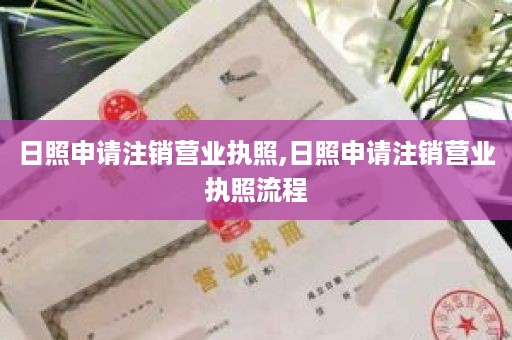 日照申请注销营业执照,日照申请注销营业执照流程