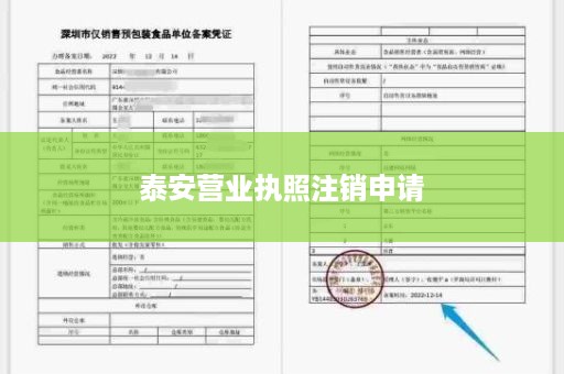 泰安营业执照注销申请