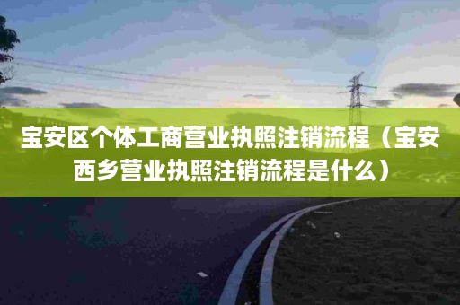 宝安区个体工商营业执照注销流程（宝安西乡营业执照注销流程是什么）