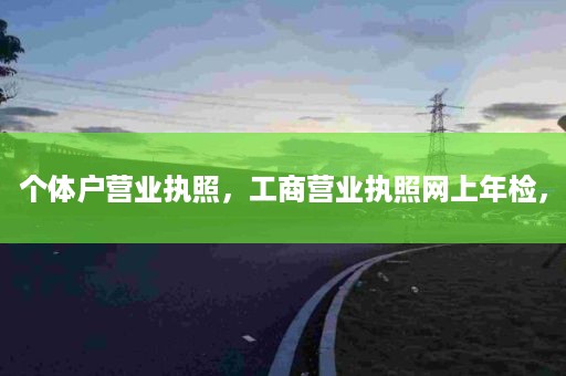 个体户营业执照，工商营业执照网上年检，