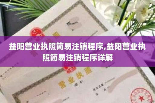 益阳营业执照简易注销程序,益阳营业执照简易注销程序详解
